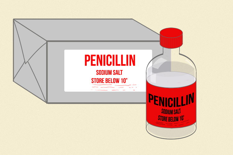 Penicillin was the first antibiotic found in 1928 by mistake by Alexander Fleming